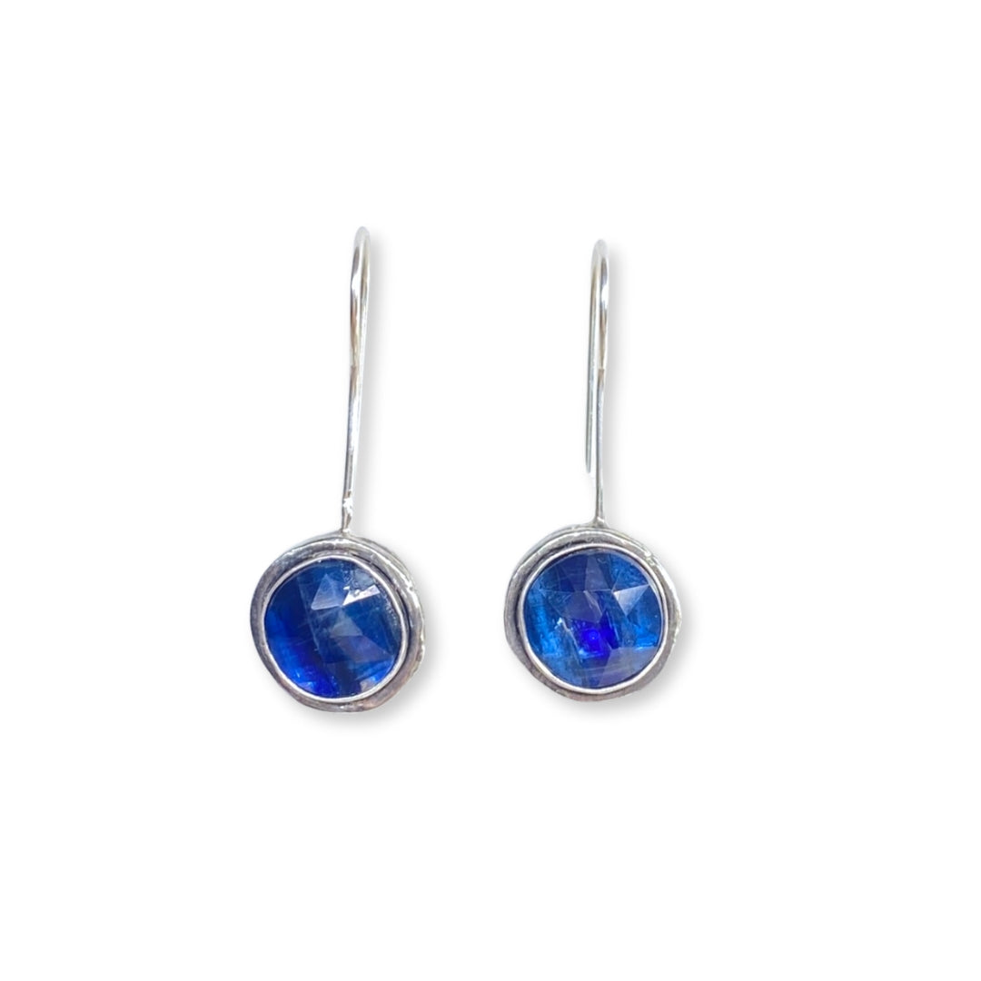 Vision Earrings by Susan Rodgers