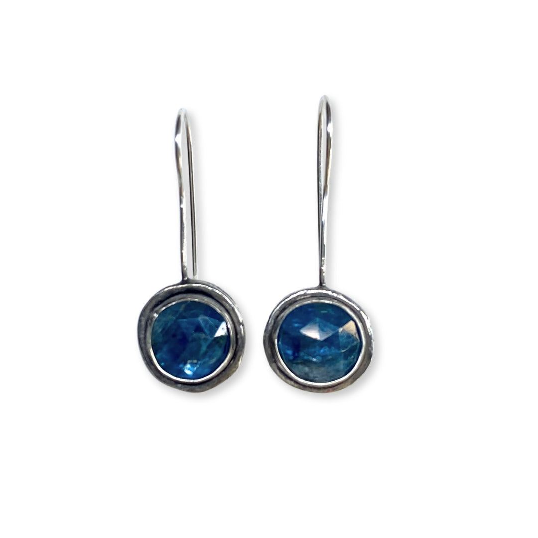 Vision Earrings by Susan Rodgers